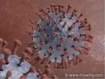 Renfrew County and District Health Unit notes increase in local COVID-19 activity - The Kingston Whig-Standard