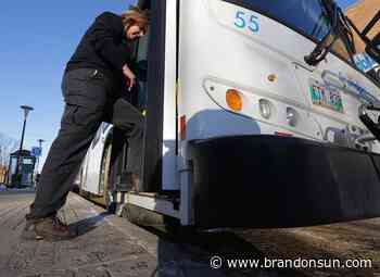 City looks to ease on-demand transit service - The Brandon Sun