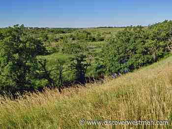 Brandon U invites Public to Archaeological Dig Site near Melita - DiscoverWestman.com