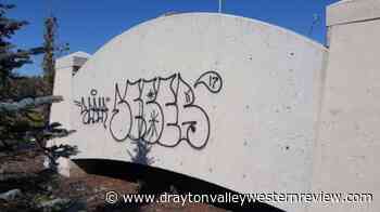 County grapples with graffiti increase - Drayton Valley Western Review