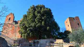 Musica classica e arte per due serate a Fucecchio - IlCuoioInDiretta