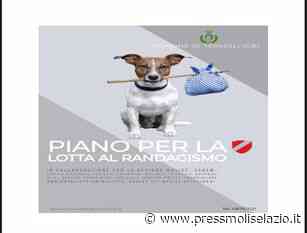 A Termoli si è riunito il tavolo tecnico per discutere sul fenomeno del randagismo - http://www.pressmoliselazio.it