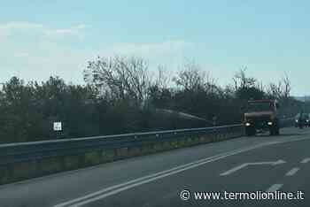 Termoli, Montenero: Incendio sulla statale 16, disagi alla circolazione - Termoli Online
