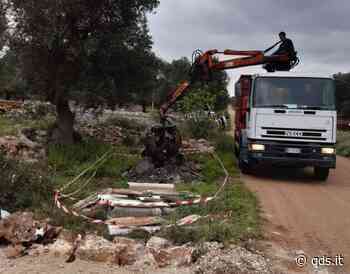 Agrigento, a breve gli interventi per la bonifica delle strade - Quotidiano di Sicilia