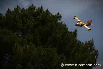 Plus de 20.000 hectares de forêts brûlés depuis une semaine en Gironde
