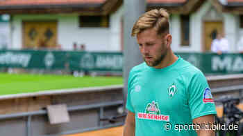 Werder Bremen: Niclas Füllkrug hat vier Angebote - WERDER BREMEN - SPORT BILD - SportBILD
