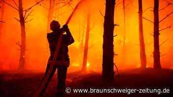 Waldbrände und Hitze: Was das Löschen so schwierig macht