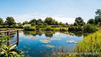 Les Jardins du Monde : joyau vert de Wittelsheim - m2A et moi ! Le mag de Mulhouse Alsace Agglomération