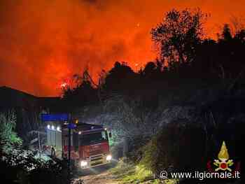 Incubo incendi: le fiamme devastano la Versilia e il Carso