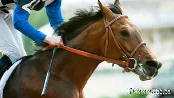 Moosomin First Nation bringing horse racing back to Marquis Downs one last time