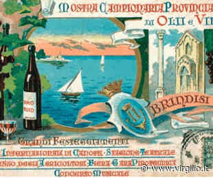 Brindisi, nel 1906 la prima grande mostra di vini e oli delle nostre terre - Senza Colonne News - Quotidiano di Brindisi - Virgilio