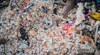 Brindisi, spiagge invase dalla plastica: Greenpeace presenta un esposto in Procura - TGCOM