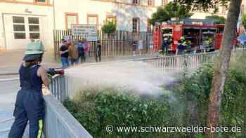Feuer in Schramberg schnell gelöscht - Neben dem Gehweg brennt das Gras - Schwarzwälder Bote