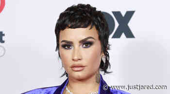 Demi Lovato Reveals 'Sexually Charged' Meaning Behind Album Title 'Holy Fvck'