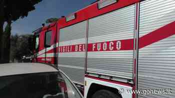 Fiamme lungo la 429, incendio di sterpaglie a Empoli - gonews