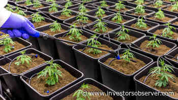 Should You Sell Aurora Cannabis Inc (ACB) Stock Tuesday Morning? - InvestorsObserver