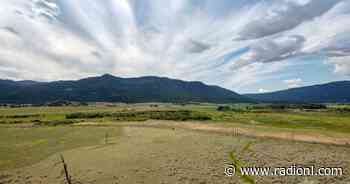 Aurora Cannabis closing 207-acre outdoor growing facility in Westwold - radionl.com