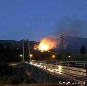 Incendio sopra La Briglia: bruciato un ettaro di oliveto - tvprato.it
