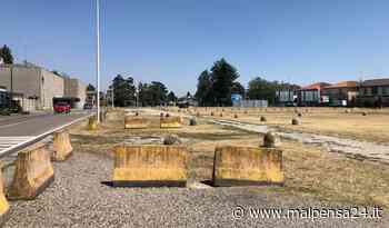 Alberi al posto del cemento nel prato del cimitero: proposta di Legambiente Busto - MALPENSA24 - malpensa24.it