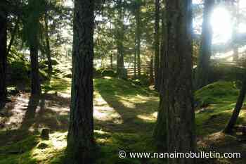 217,000-hectare deal near Prince George creates B.C.’s largest First Nations woodland