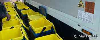 Rifiuti a Catania, continua la distribuzione dei mastelli porta rifiuti: ecco il prossimo Lotto - NewSicilia