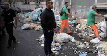 Rifiuti, a Catania 20 multe in poche ore agli incivili ma non basta: la città è sporca come non mai - La Sicilia