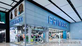Lavoro Catania: Lidl, Eurospin, Primark e Old Wild West assumono - Liveunict | Magazine sull'Università di Catania