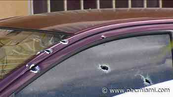 Homicides and Shootings Down in Miami-Dade, Bucking National Trends