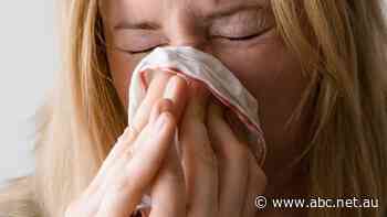 Should workplaces rethink when they ask for medical certificates? This senior GP thinks so