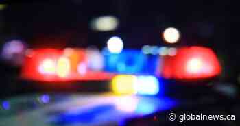 Young Sask. man killed in collision between car and semi, say Estevan RCMP