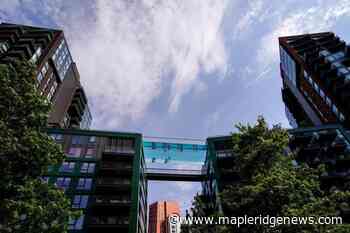 UK breaks record for highest temperature as Europe sizzles – Maple Ridge News - Maple Ridge News