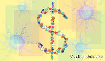 The US Spends $200 Billion Each Year on Cancer Care – We Might Not Be Getting Our Money’s Worth