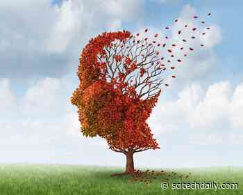 Do Shingles Viral Infections Increase a Person’s Risk of Dementia?