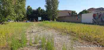 Aversa, il parco Taglione tra le erbacce: questo meritava Valerio? - PUPIA