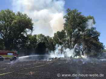 Riesige Flächenbrände in Kronau und Rastatt-Plittersdorf - die neue welle