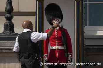 Hitzewelle in Europa: Tipps und Tierfotos – So schwitzt das Internet - Stuttgarter Nachrichten