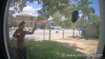 Multiple Mango Thieves Caught on Camera Stealing Fruit at Miami Home