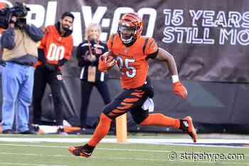 Cincinnati Bengals RB Chris Evans is ready to stun in 2022 - Stripe Hype