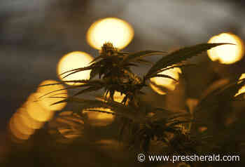 New York cannabis regulators approve rules for retail sales - Press Herald