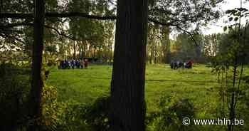 Boechout mee vormgeven? Word lid van de GECORO - Het Laatste Nieuws