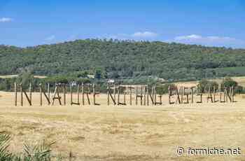 In nature nothing exists alone, l'opera di Comte per Hypermaremma - Formiche.net