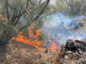 Bivona, fiamme lambiscono abitazioni. Il sindaco: “Opera dei piromani” - ilSicilia.it