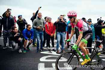 Hugo Houle wins Stage 16 of Tour de France, Ottawa's Michael Woods places third - Ottawa.CityNews.ca