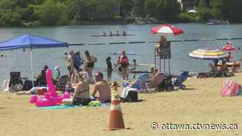 Lack of Lifeguards affecting Ottawa beaches, pools and learning to swim programs - CTV News Ottawa