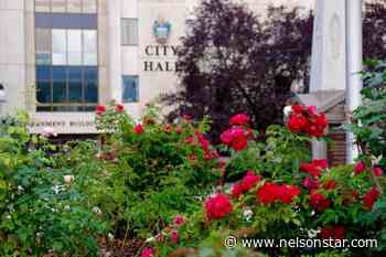 To run for Nelson City Council, submit your papers before Sept. 9 – Nelson Star - Nelson Star