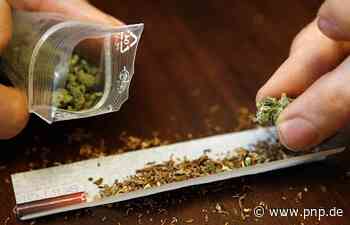 Haschisch und Kokain im Küchenschrank - und alles nur Zufall? - Passauer Neue Presse - PNP.de