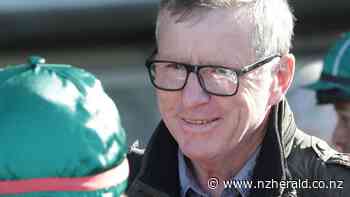 Racing: Collett clan Sydney bound - New Zealand Herald