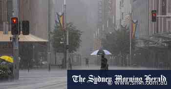 How Sydney’s big wet is seeping into our homes, old and new - Sydney Morning Herald
