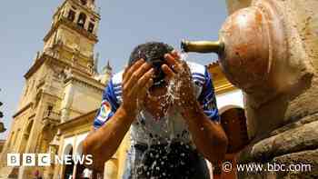 Heatwave: Living at 40C in Abuja, Delhi, Madrid and Sydney - BBC