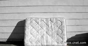 Is Buying a Used Mattress a Terrible Idea?     - CNET